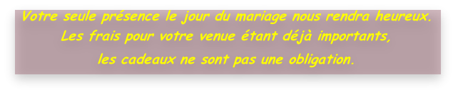 Votre seule présence le jour du mariage nous rendra heureux. 
Les frais pour votre venue étant déjà importants, 
les cadeaux ne sont pas une obligation.

